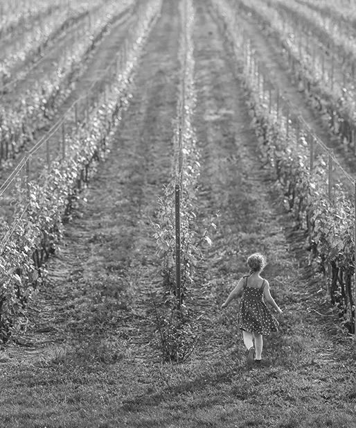 Agricultura y Ganadería